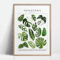 Green Botanical Leaves Canvas Wall Art Calming Nature Houseplant Decor 2