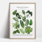Green Botanical Leaves Canvas Wall Art Calming Nature Houseplant Decor 2