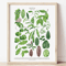 Green Botanical Leaves Canvas Wall Art Calming Nature Houseplant Decor 11