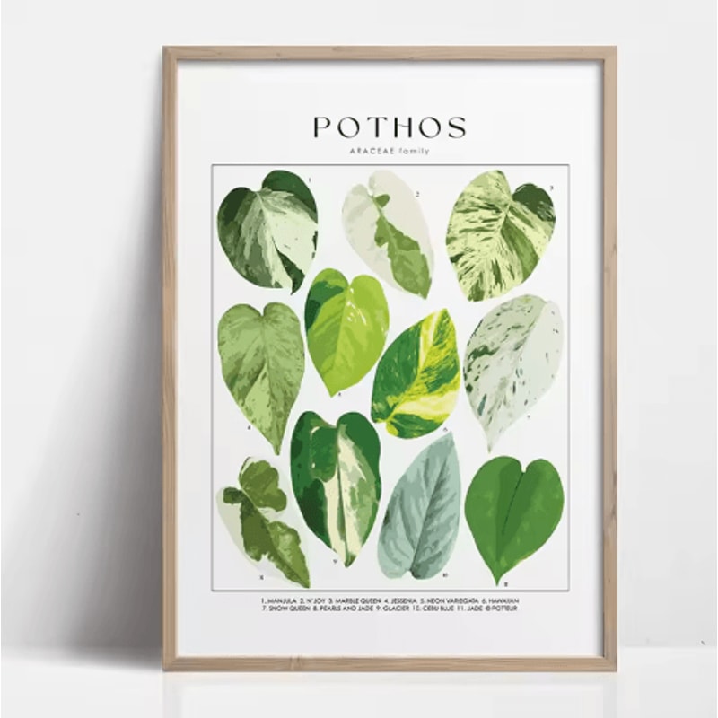 Green Botanical Leaves Canvas Wall Art Calming Nature Houseplant Decor 12