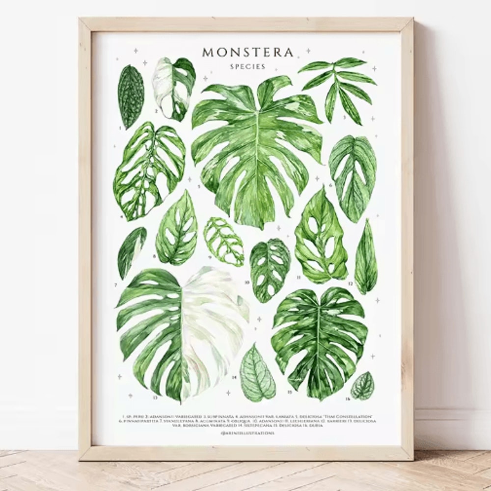 Green Botanical Leaves Canvas Wall Art Calming Nature Houseplant Decor 17