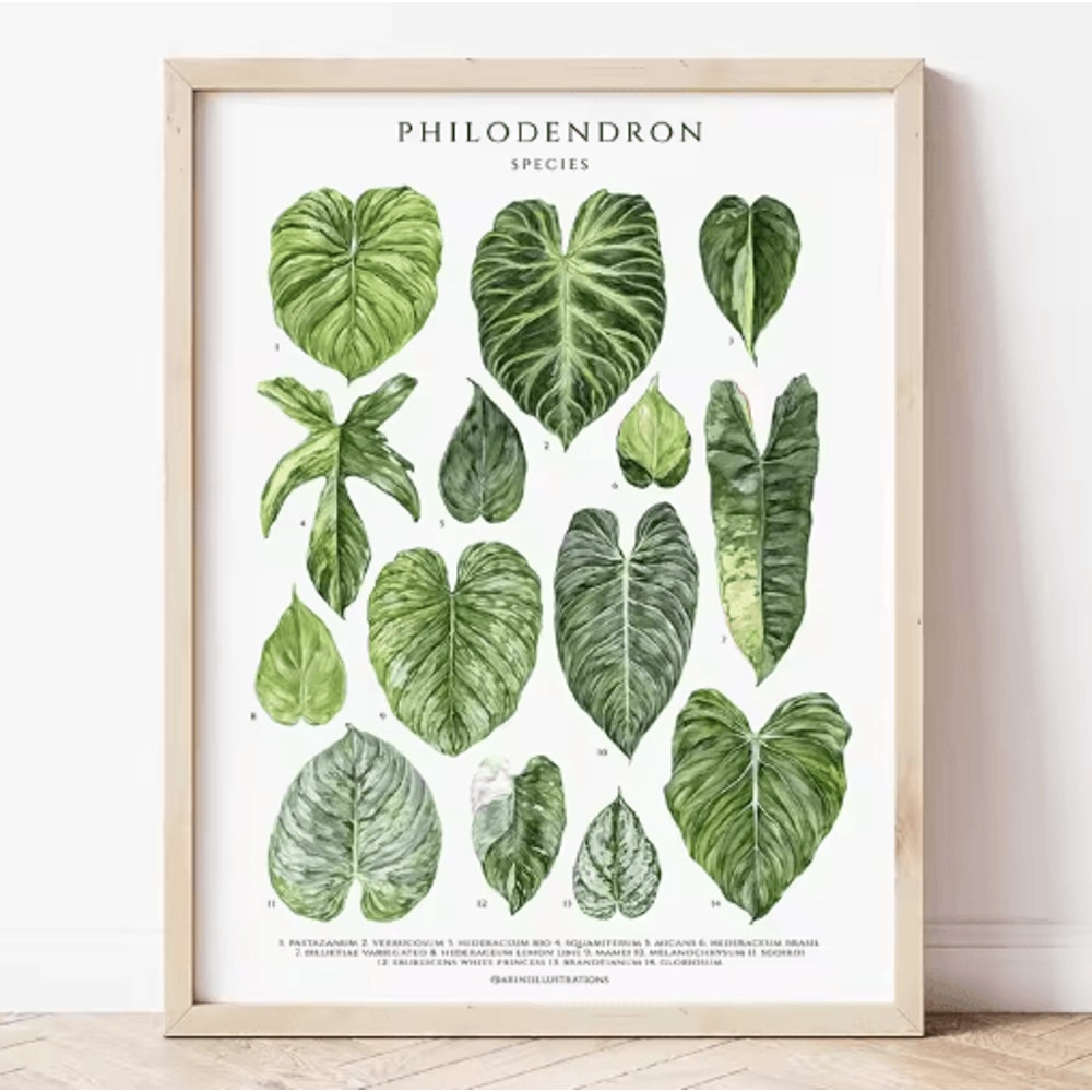 Green Botanical Leaves Canvas Wall Art Calming Nature Houseplant Decor 18