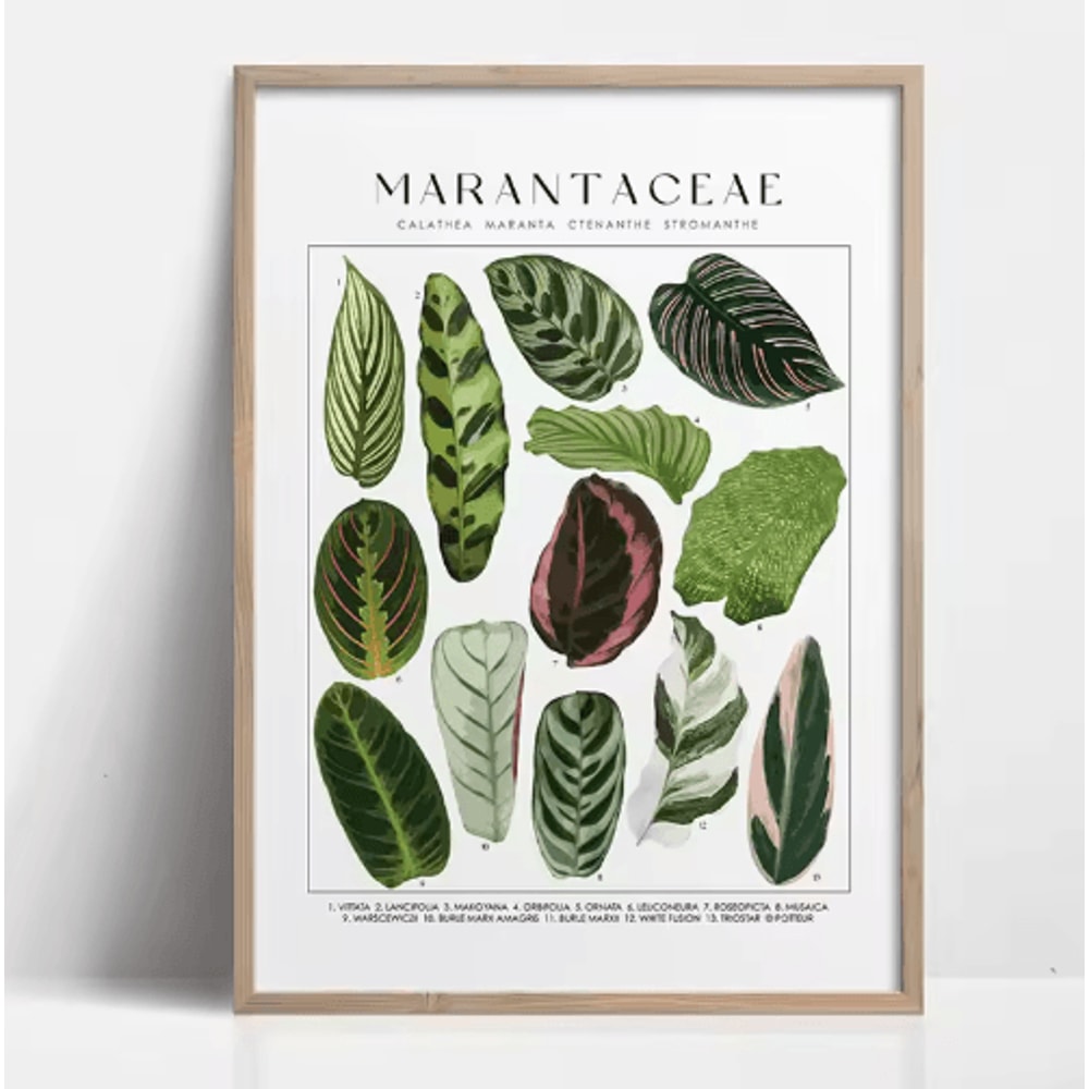 Green Botanical Leaves Canvas Wall Art Calming Nature Houseplant Decor 9