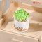 Miniature Resin Plant Pot Set Dollhouse Flower Vase Decor 4