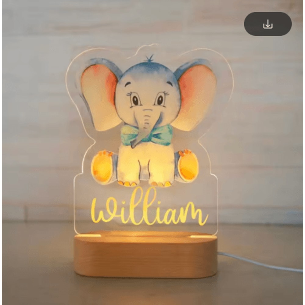 Personalized Animal Acrylic Night Light Custom Name LED Lamp For Kids 6
