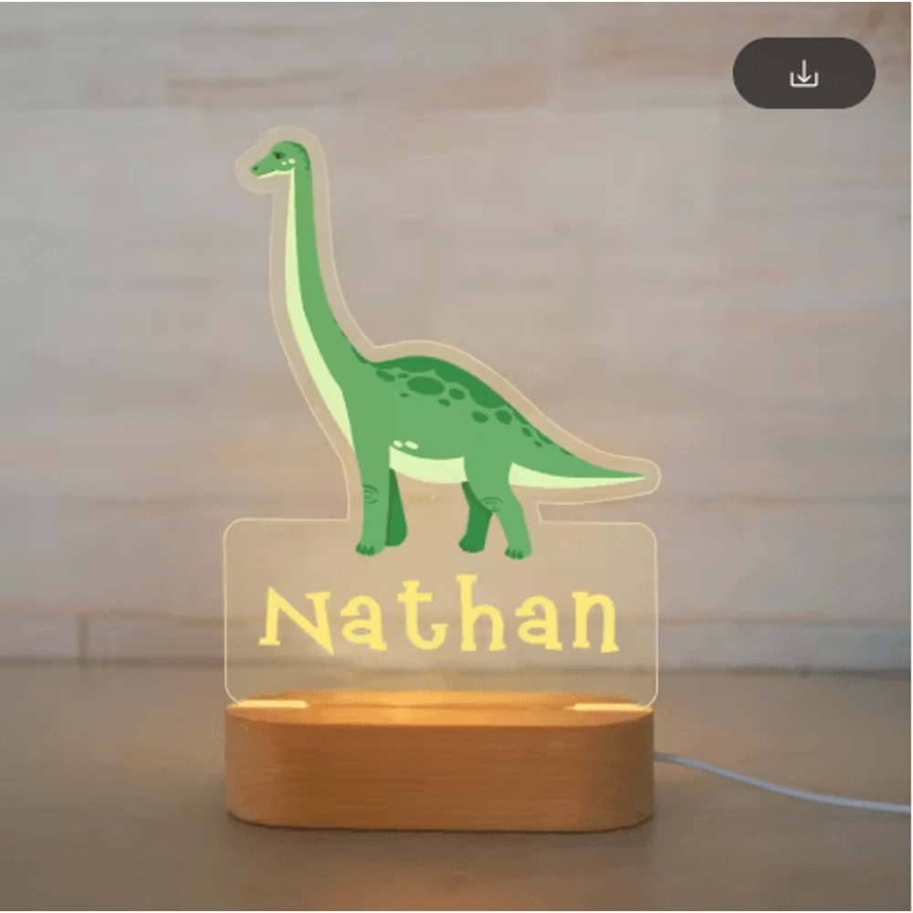 Personalized Animal Acrylic Night Light Custom Name LED Lamp For Kids 8