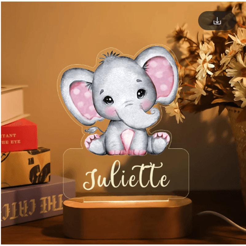 Personalized Animal Acrylic Night Light Custom Name LED Lamp For Kids 29