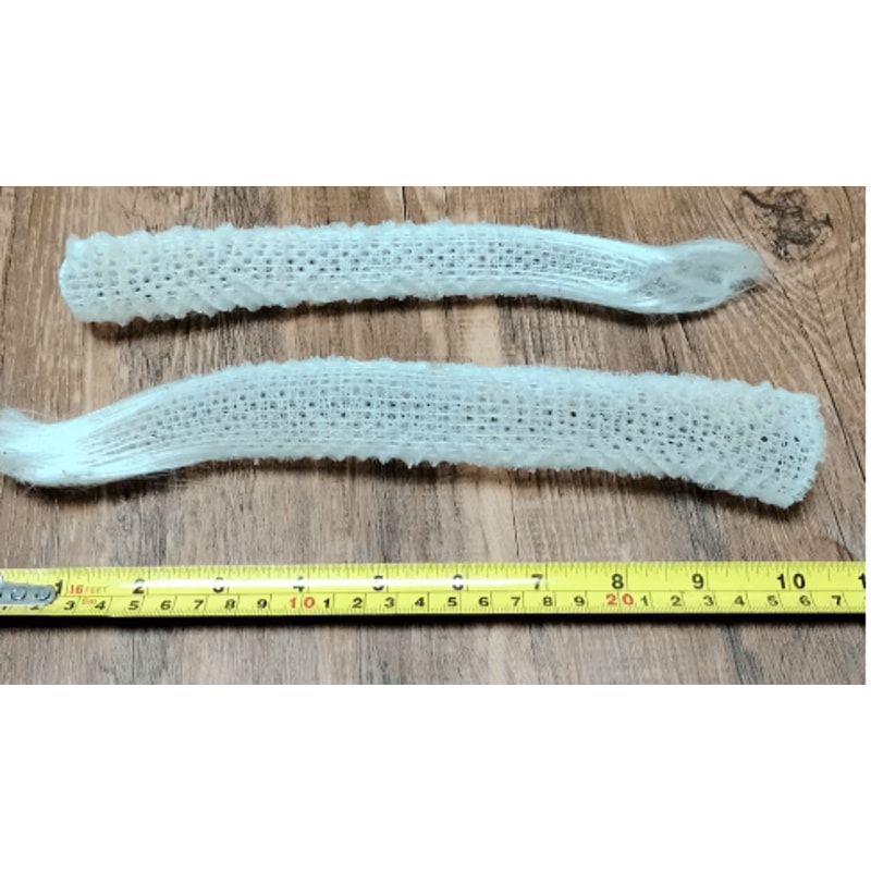 Natural Venus Flower Basket Sponge Euplectella Ocean Shell Decor 1
