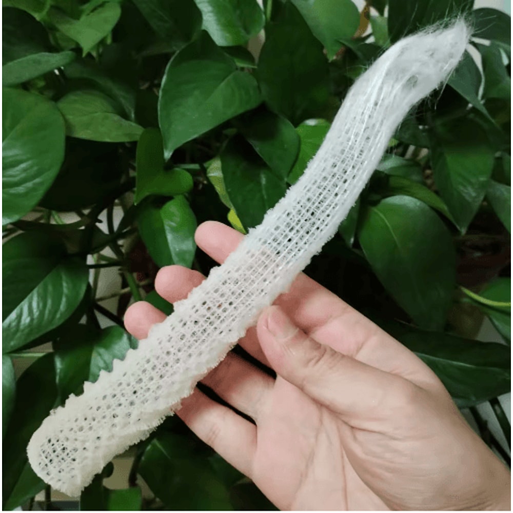 Natural Venus Flower Basket Sponge Euplectella Ocean Shell Decor 5