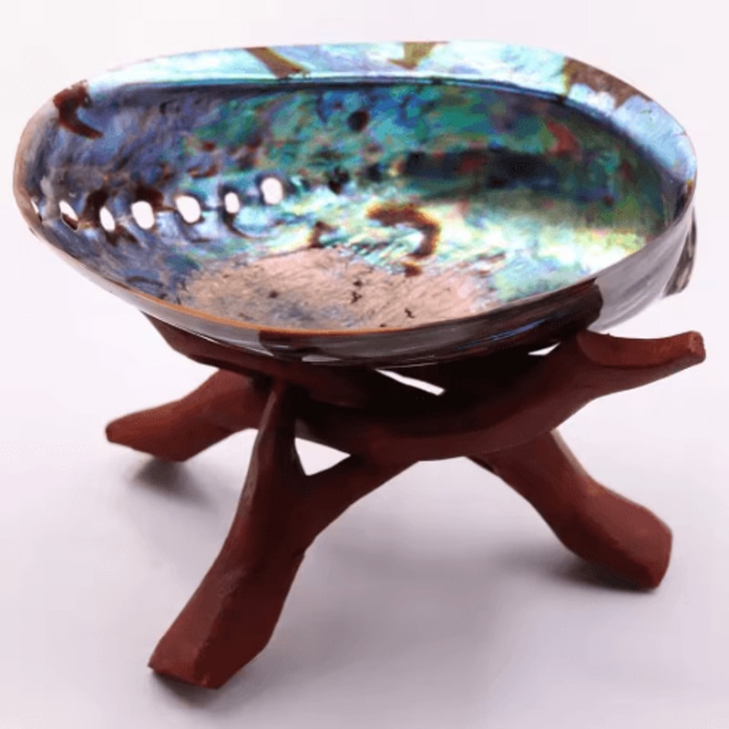 Paua Abalone Shell Smudge Kit With Stand Natural Sage Cleansing Decor Set 10