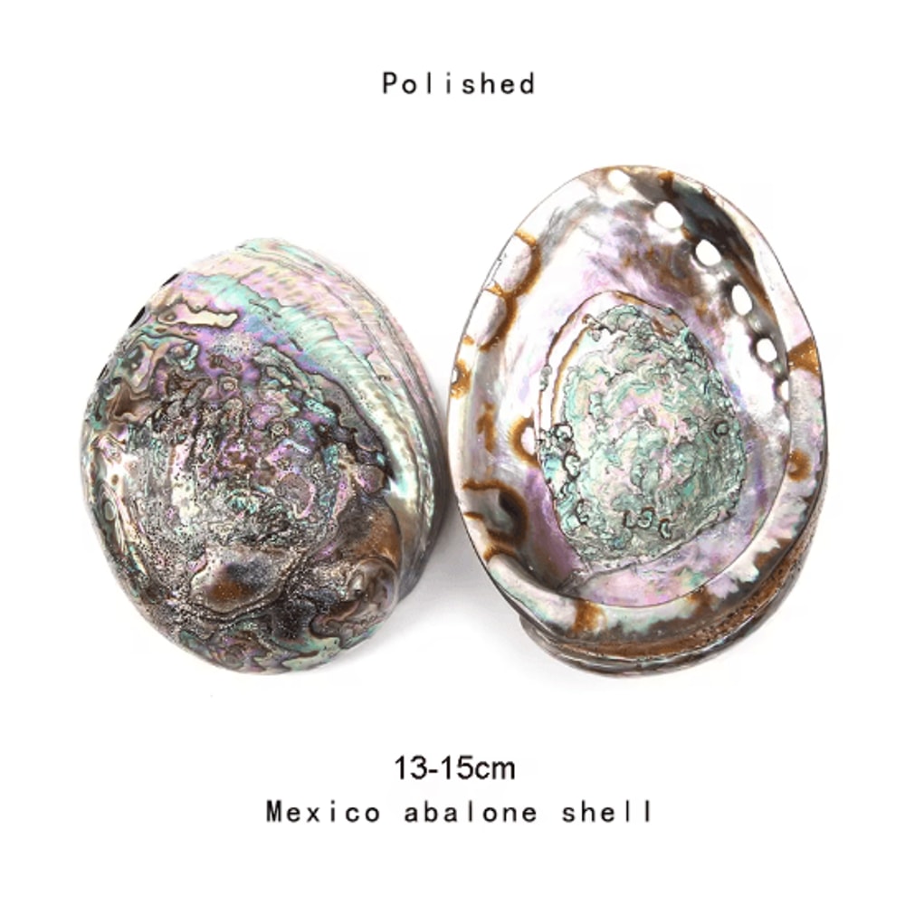 Paua Abalone Shell Smudge Kit With Stand Natural Sage Cleansing Decor Set 4