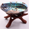 Paua Abalone Shell Smudge Kit With Stand Natural Sage Cleansing Decor Set 6