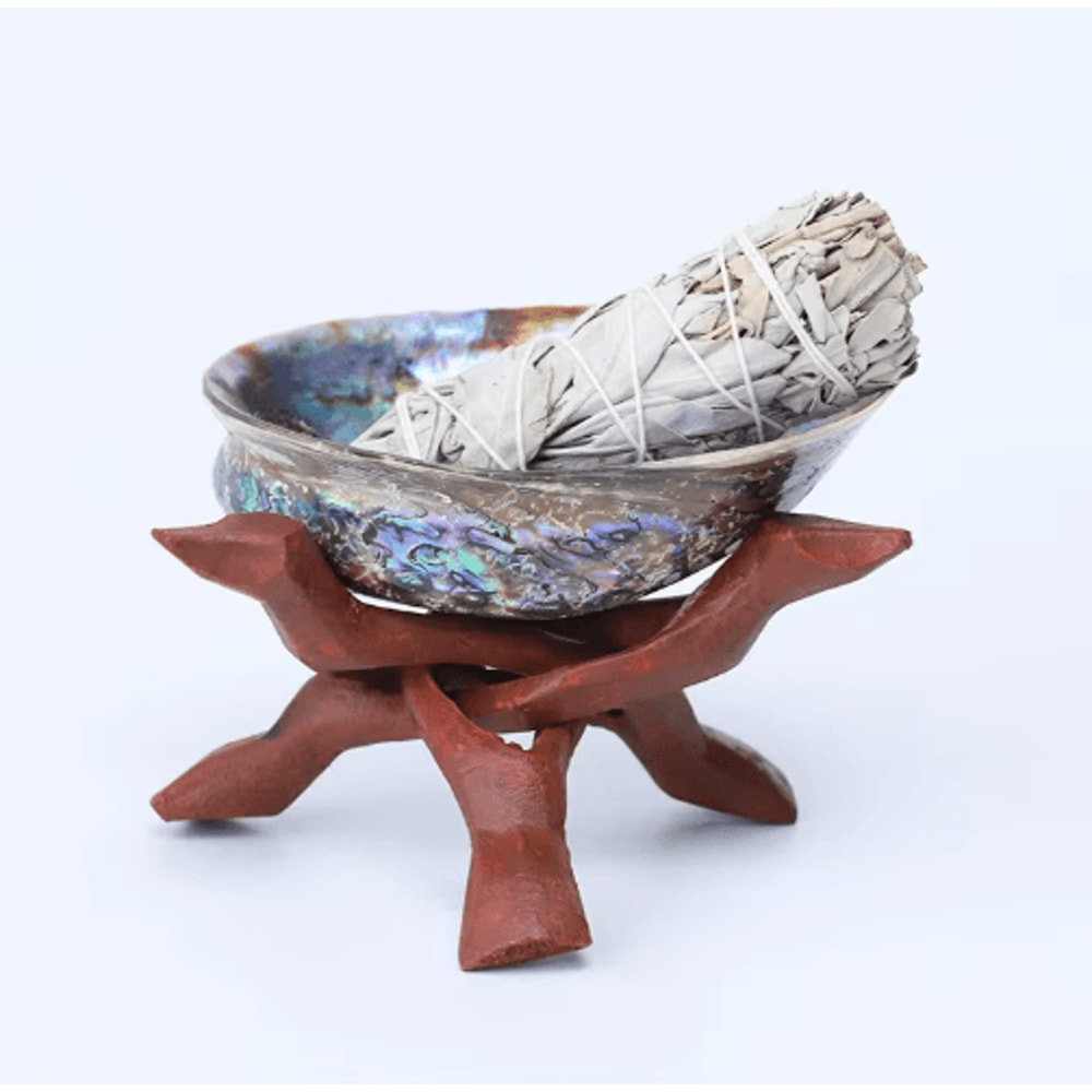 Paua Abalone Shell Smudge Kit With Stand Natural Sage Cleansing Decor Set 9