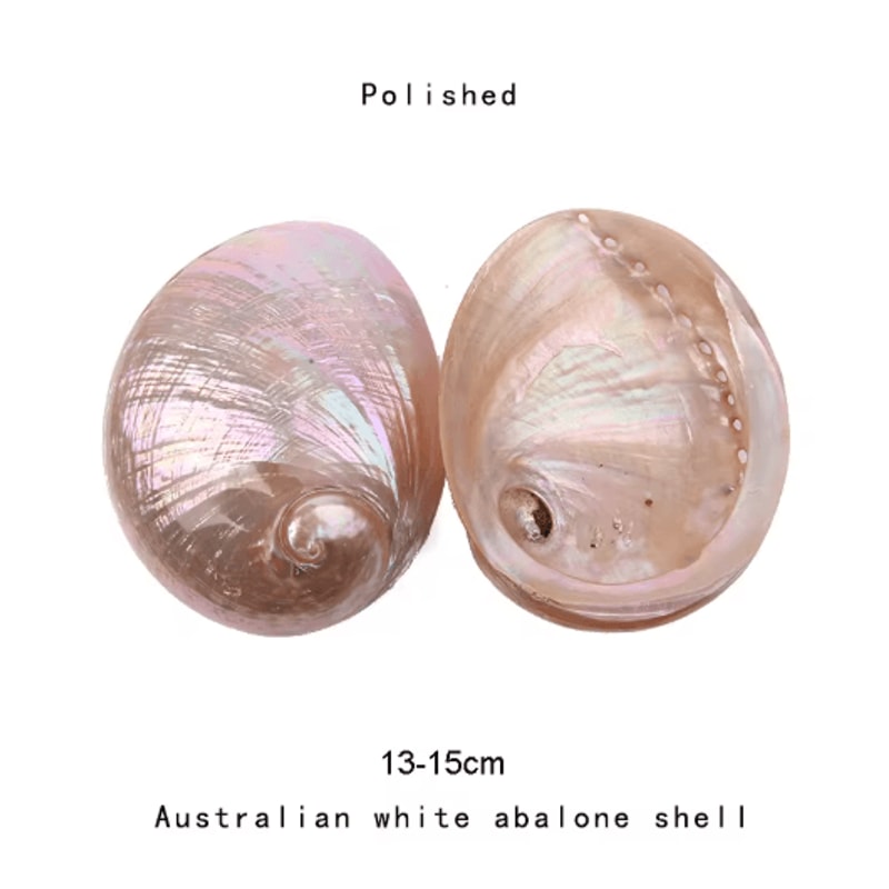 Paua Abalone Shell Smudge Kit With Stand Natural Sage Cleansing Decor Set 11