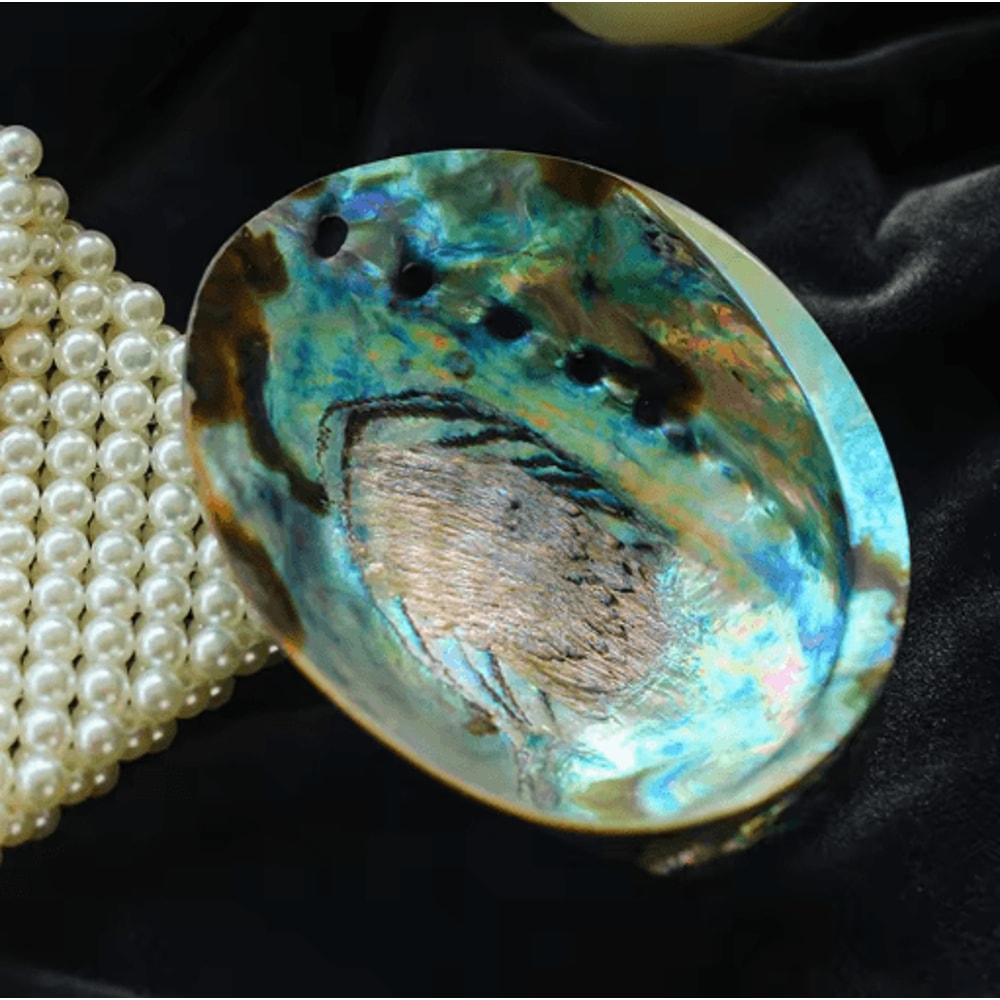 Paua Abalone Shell Smudge Kit With Stand Natural Sage Cleansing Decor Set 12