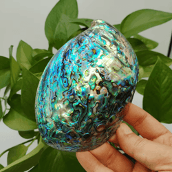 paua abalone shell smudge kit with stand natural sage cleansing & decor set