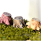 Mini Fairy Garden Accessories Set DIY Miniature Figurines For Garden Dollhouse Decor 13