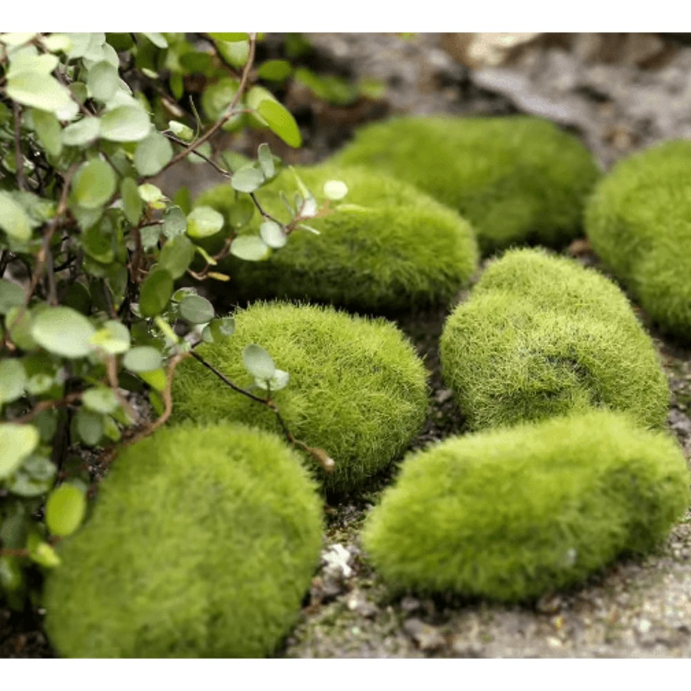 Mini Fairy Garden Accessories Set DIY Miniature Figurines For Garden Dollhouse Decor 21