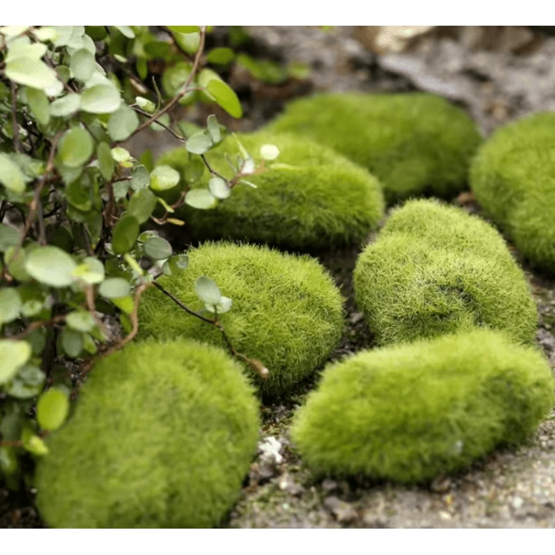 Mini Fairy Garden Accessories Set DIY Miniature Figurines For Garden Dollhouse Decor 21