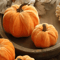 Luxury Velvet Pumpkin Decor Elegant Fall Halloween Harvest Accent 6