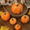 Luxury Velvet Pumpkin Decor Elegant Fall Halloween Harvest Accent 7
