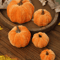 Luxury Velvet Pumpkin Decor Elegant Fall Halloween Harvest Accent 8