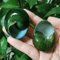 Natural Jade Snail Shell Aquarium Decoration Unique Specimen For Fish Tank Landscaping 4
