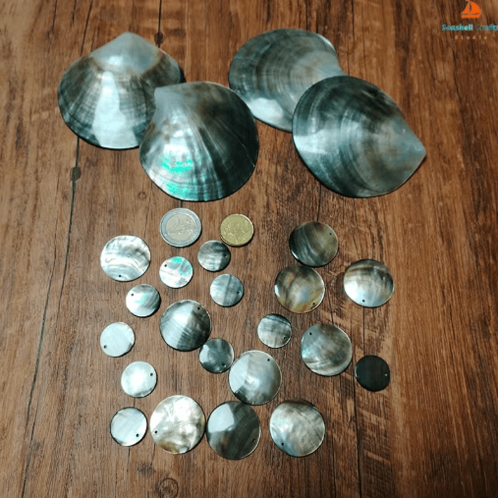 Black Mother Of Pearl Shell Polished Sea Shell For DIY Jewelry Elegant Decor 4
