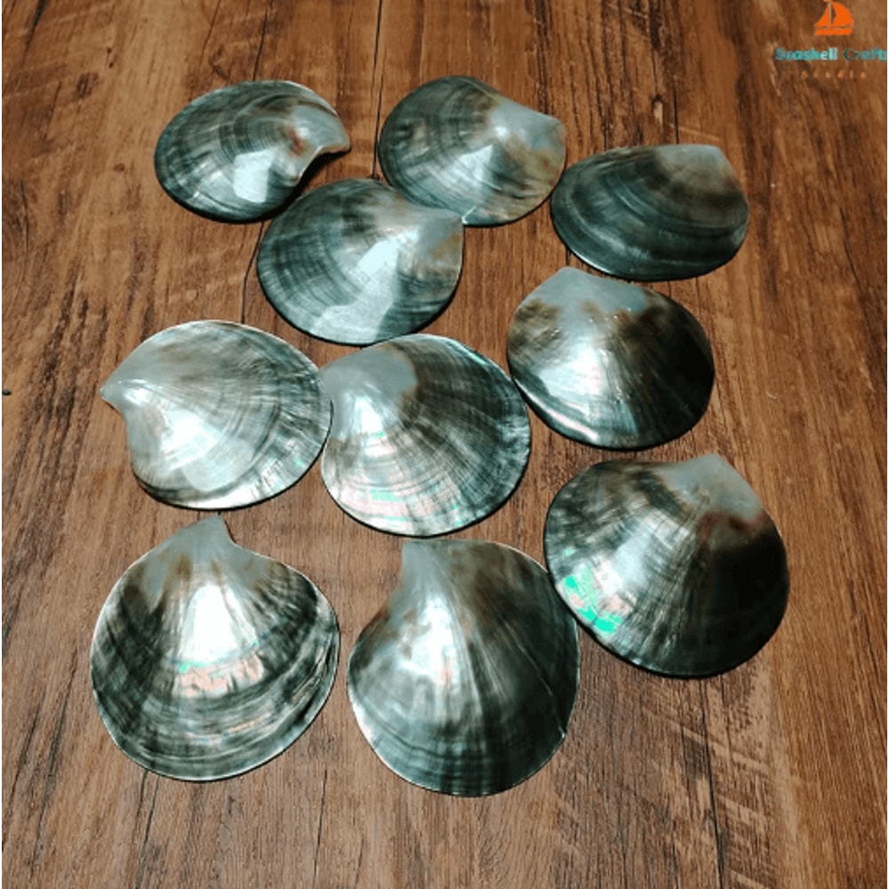 Black Mother Of Pearl Shell Polished Sea Shell For DIY Jewelry Elegant Decor 6