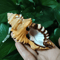 Natural Triton Sea Shell Conch BlackSpotted Aquarium Decor Photography Prop 2