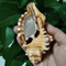 Natural Triton Sea Shell Conch BlackSpotted Aquarium Decor Photography Prop 3