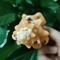 Natural Triton Sea Shell Conch BlackSpotted Aquarium Decor Photography Prop 4