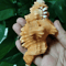 Natural Triton Sea Shell Conch BlackSpotted Aquarium Decor Photography Prop 6