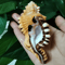 Natural Triton Sea Shell Conch BlackSpotted Aquarium Decor Photography Prop 0