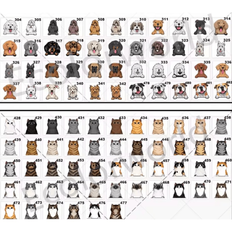 Personalized Pet Cartoon Doormat Custom Dog Cat Name Welcome Mat For Home 2