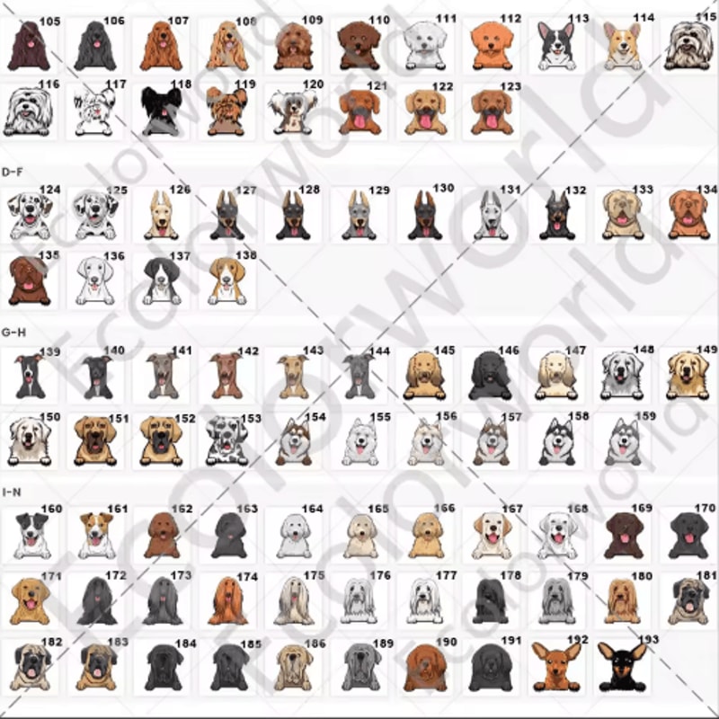 Personalized Pet Cartoon Doormat Custom Dog Cat Name Welcome Mat For Home 4