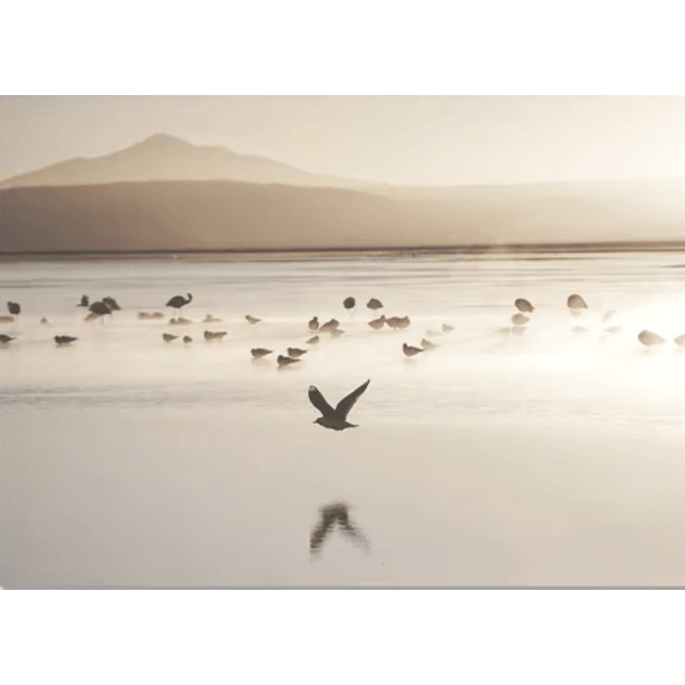 Nordic White Shell Beach Dandelion Canvas Wall Art Minimalist Coastal Decor 2