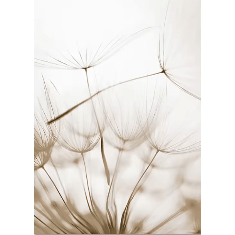 Nordic White Shell Beach Dandelion Canvas Wall Art Minimalist Coastal Decor 8