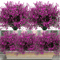 12 Bunches UVResistant Artificial Flowers Lush Outdoor Artificial Plants For Garden Window Box Dec 7