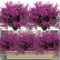 12 Bunches UVResistant Artificial Flowers Lush Outdoor Artificial Plants For Garden Window Box Dec 7