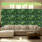 Artificial Green Plant Wall Panels Lush Artificial Plant Wall For Garden Event Backdrops 7