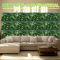Artificial Green Plant Wall Panels Lush Artificial Plant Wall For Garden Event Backdrops 7