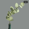 10Pack Real Touch Eucalyptus Leaves Lifelike Artificial Eucalyptus Leaves For Wedding Home Decor 2