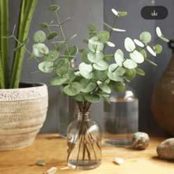 10-pack real touch eucalyptus leaves – lifelike artificial eucalyptus leaves for wedding & home decor