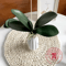 Realistic Phalaenopsis Orchid Leaves Lifelike Artificial Orchid Leaves For Floral Arrangements 2