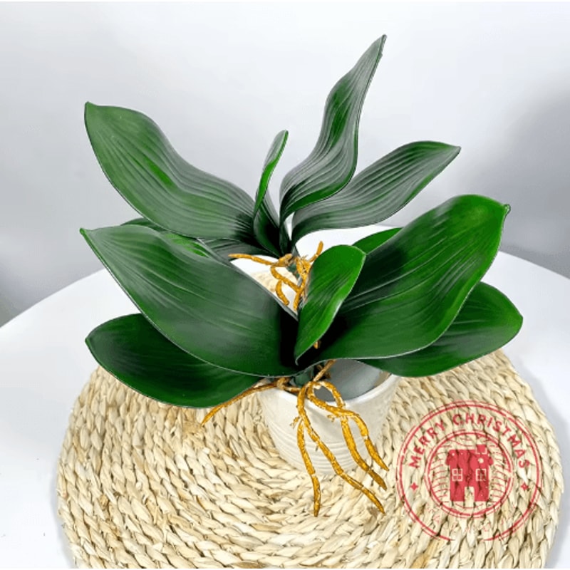 Realistic Phalaenopsis Orchid Leaves Lifelike Artificial Orchid Leaves For Floral Arrangements 0