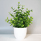 Artificial Bonsai Potted Plant Stylish Fake Indoor Plants For Home Office Decor 8