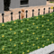 Sunflower Artificial Ivy Privacy Fence Decorative Outdoor Green Wall Panel 6
