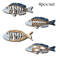 4Piece Wooden Fish Wall Decor Coastal Ocean Wall Art Set 1