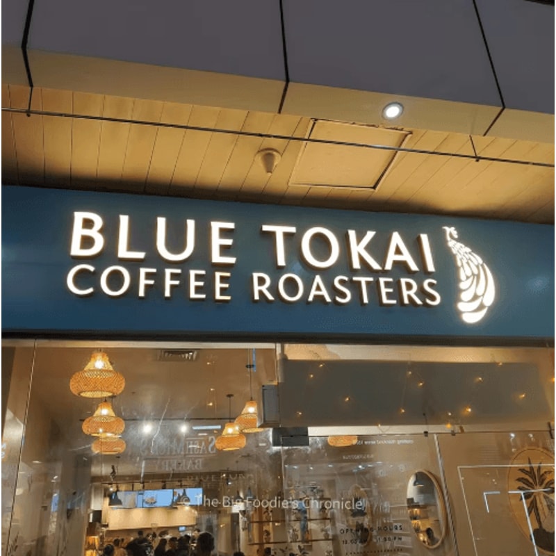 Custom LED Business Sign Backlit 3D Metal Storefront Logo Letters 3